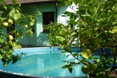 Baz�n s citron�ky